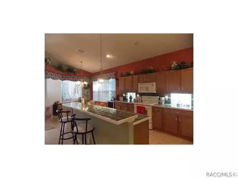 1701 N Shadowview Path, Hernando, FL 34442 photo 5