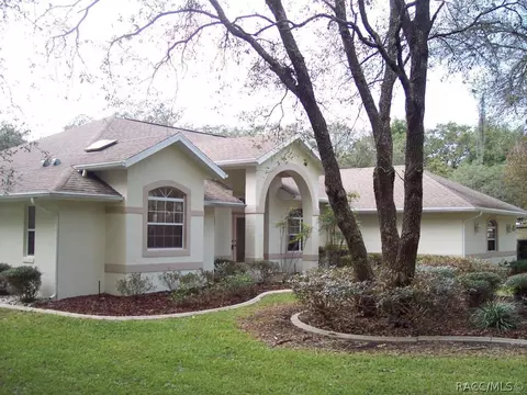 4292 N Indianhead Rd, Hernando, FL 34442 photo 3