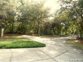 345 E Joshua Ct, Hernando, FL 34442 photo 20