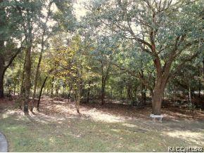 345 E Joshua Ct, Hernando, FL 34442 photo 19
