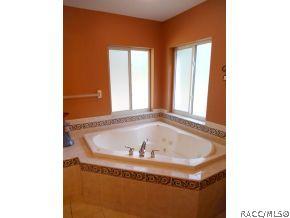 345 E Joshua Ct, Hernando, FL 34442 photo 9