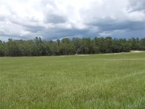 1315 E Triple Crown Loop, Hernando, FL 34442 photo 4