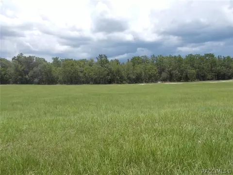 1315 E Triple Crown Loop, Hernando, FL 34442 photo 1