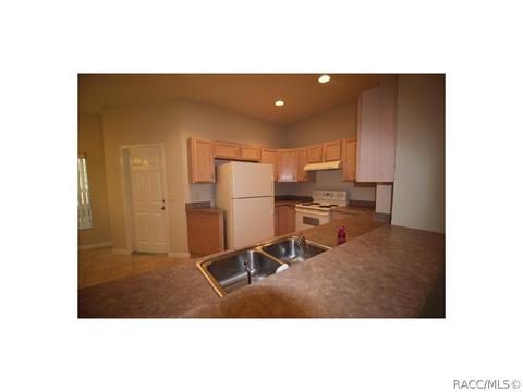 1686 W Spring Meadow Loop, Lecanto, FL 34461 photo 6