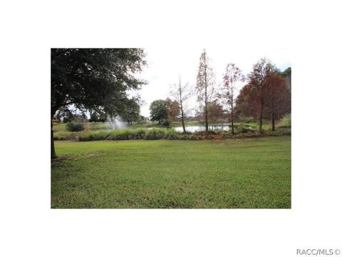 1686 W Spring Meadow Loop, Lecanto, FL 34461 photo 14