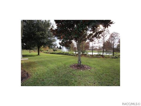 1686 W Spring Meadow Loop, Lecanto, FL 34461 photo 31
