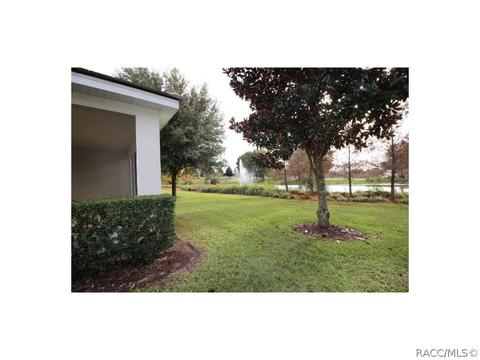 1686 W Spring Meadow Loop, Lecanto, FL 34461 photo 27