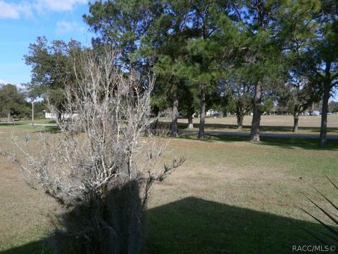 419 E Cumberland Ct, Hernando, FL 34442 photo 23