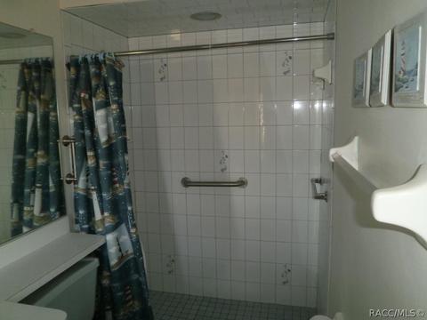 419 E Cumberland Ct, Hernando, FL 34442 photo 18