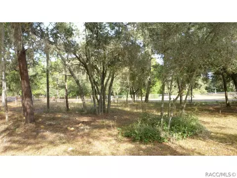 3610 N Page Ave, Hernando, FL 34442 photo 15