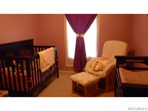 3610 N Page Ave, Hernando, FL 34442 photo 11