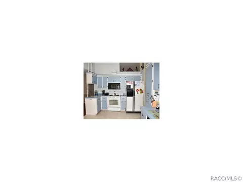 539 E Lancaster St, Lecanto, FL 34461 photo 2