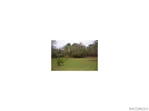 539 E Lancaster St, Lecanto, FL 34461 photo 7