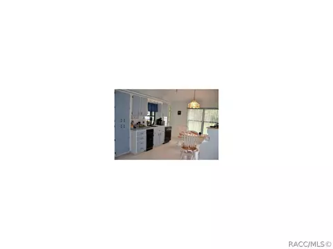 539 E Lancaster St, Lecanto, FL 34461 photo 5
