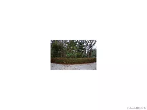 539 E Lancaster St, Lecanto, FL 34461 photo 16