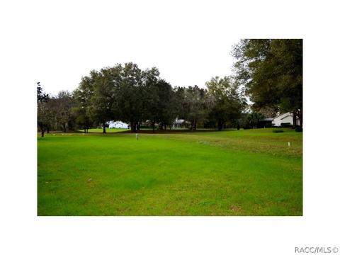 2287 N Hardee Pt, Hernando, FL 34442 photo 24
