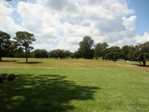 3147 W Shadow Creek Loop, Lecanto, FL 34461 photo 17