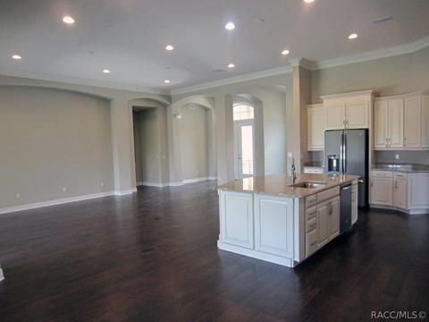 3147 W Shadow Creek Loop, Lecanto, FL 34461 photo 2