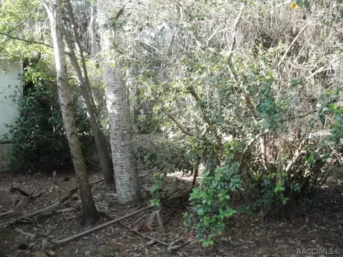 137 Park St, Inglis, FL 34449 photo 7