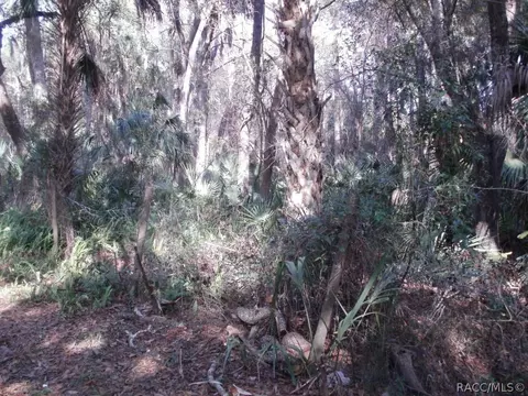 137 Park St, Inglis, FL 34449 photo 13