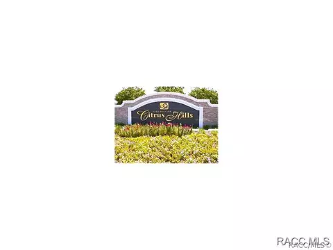 1680 W Redding St, Hernando, FL 34442 photo 28