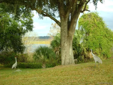 3681 Eagle Cove Ct, Hernando, FL 34442 photo 26