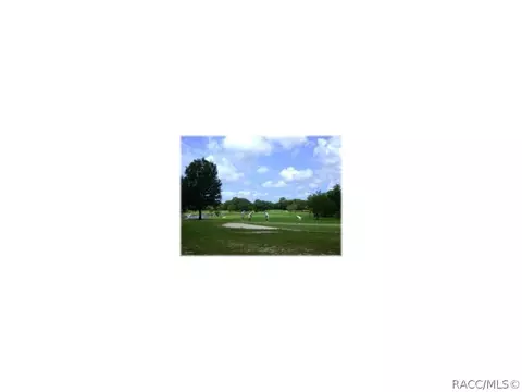 3681 Eagle Cove Ct, Hernando, FL 34442 photo 31