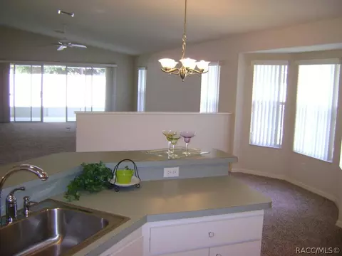 3681 Eagle Cove Ct, Hernando, FL 34442 photo 9