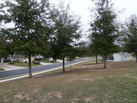 871 W Cockatiel Loop, Hernando, FL 34442 photo 29