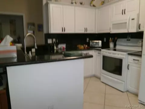 871 W Cockatiel Loop, Hernando, FL 34442 photo 9