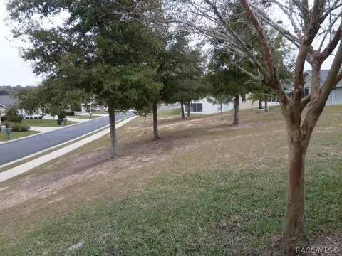 871 W Cockatiel Loop, Hernando, FL 34442 photo 30