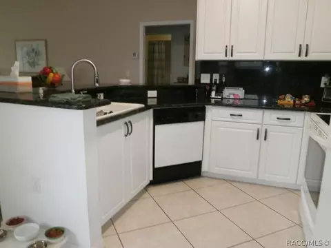 871 W Cockatiel Loop, Hernando, FL 34442 photo 7