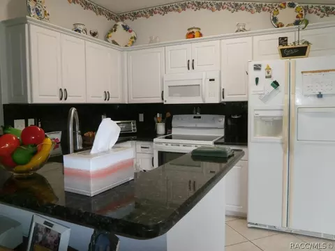 871 W Cockatiel Loop, Hernando, FL 34442 photo 11