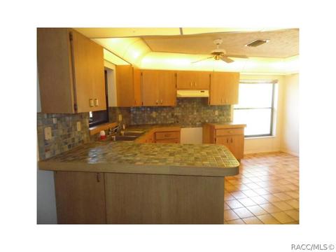 595 E Dunbar Ln, Hernando, FL 34442 photo 3