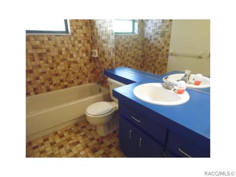 595 E Dunbar Ln, Hernando, FL 34442 photo 10