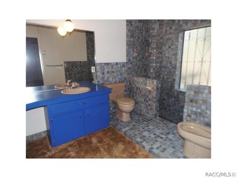 595 E Dunbar Ln, Hernando, FL 34442 photo 12