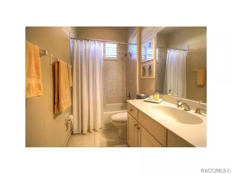 1619 N Dimaggio Path, Hernando, FL 34442 photo 18