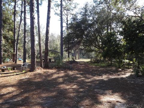 11212 Highway 40, Inglis, FL 34449 photo 12