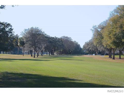 601 E Falconry Ct, Hernando, FL 34442 photo 20