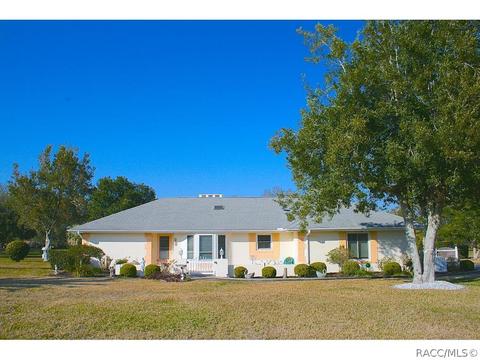 601 E Falconry Ct, Hernando, FL 34442 photo 1