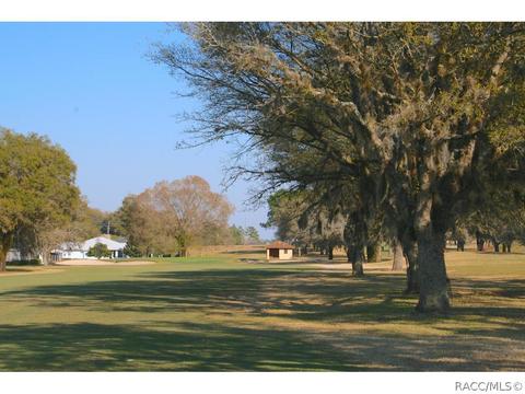 601 E Falconry Ct, Hernando, FL 34442 photo 21