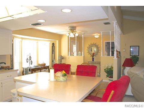 601 E Falconry Ct, Hernando, FL 34442 photo 5