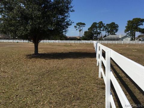 1284 N Spend A Buck Dr, Hernando, FL 34442 photo 34