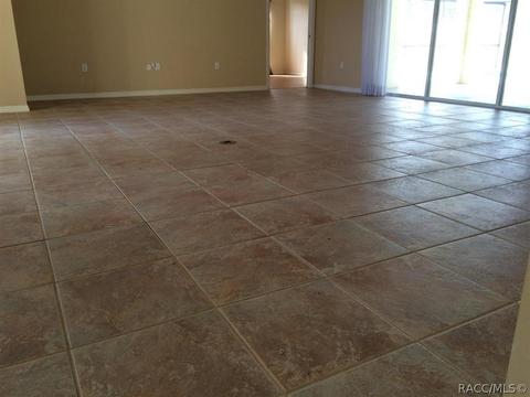 1284 N Spend A Buck Dr, Hernando, FL 34442 photo 7