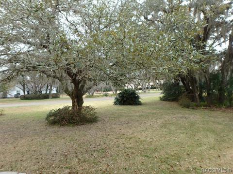 400 N Grandview Ave, Hernando, FL 34442 photo 32