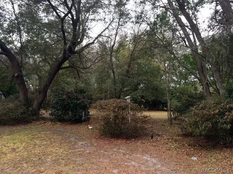 1418 E Saint James Loop, Inverness, FL 34453 photo 4