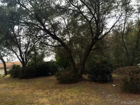 1418 E Saint James Loop, Inverness, FL 34453 photo 5
