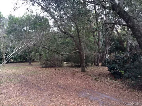 1418 E Saint James Loop, Inverness, FL 34453 photo 9