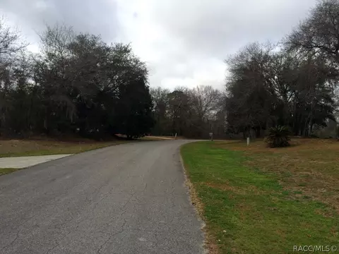 1418 E Saint James Loop, Inverness, FL 34453 photo 34
