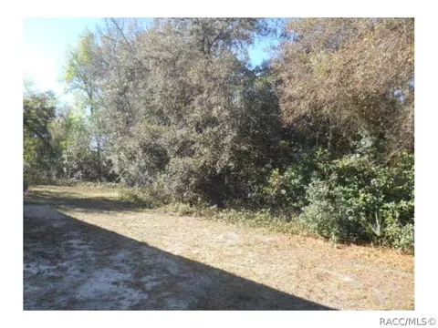 6910 N Castlebury Rd, Hernando, FL 34442 photo 3